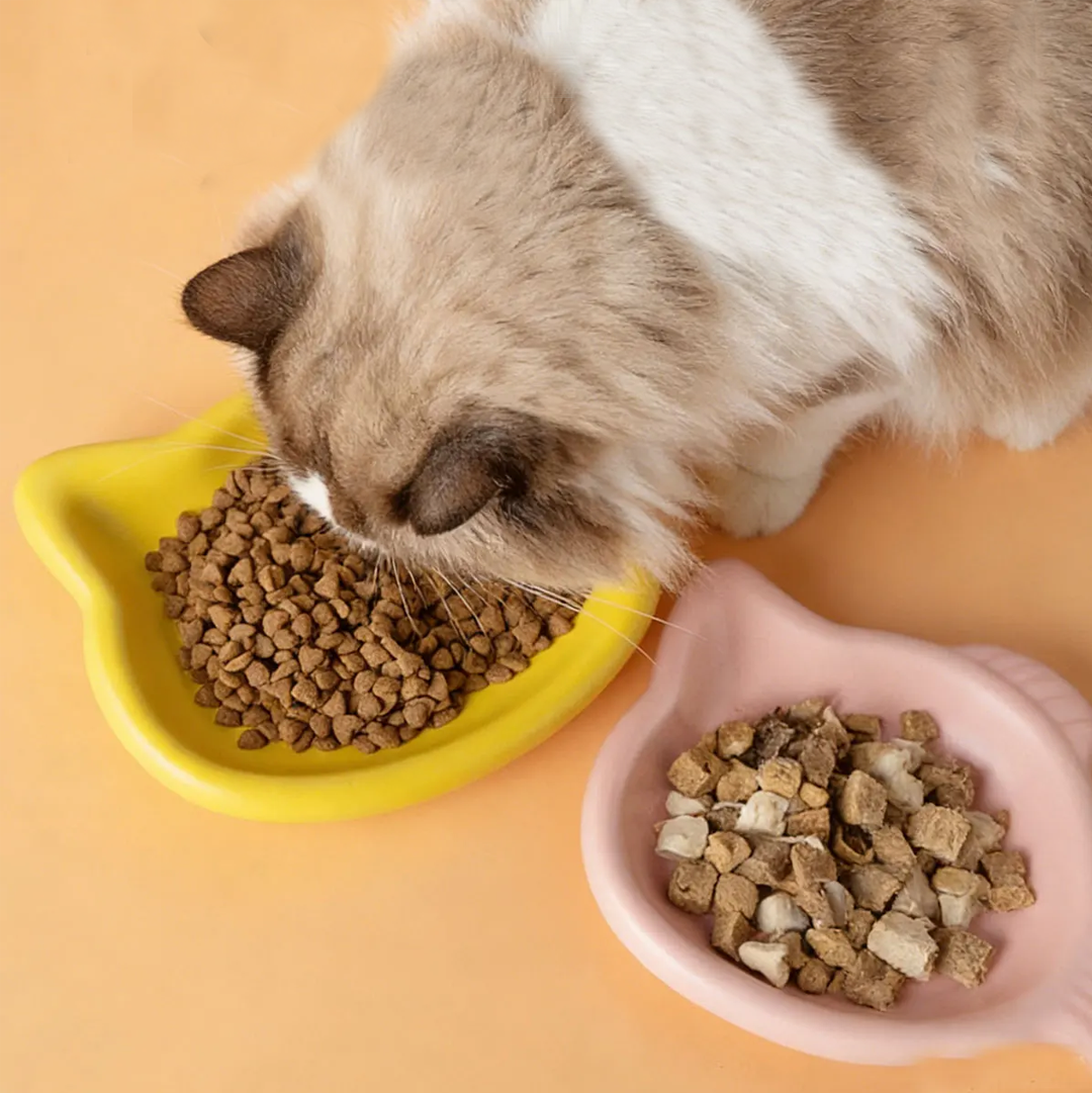 Cute Cat Shape Pet Snack Plate - Food Snacks Options review and price