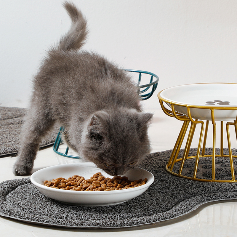 2024 New Pet Ceramic Bowl Iron - Food Snacks Easy review and price