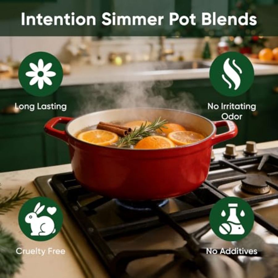 Simmer Pot Potpourri, Mixed Fl - Dried Fruit Mix review and price
