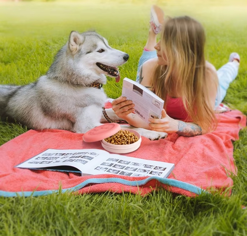 11/14cm2-in-1 Travel Dog Bowl  - Food Snacks For Camping review and price