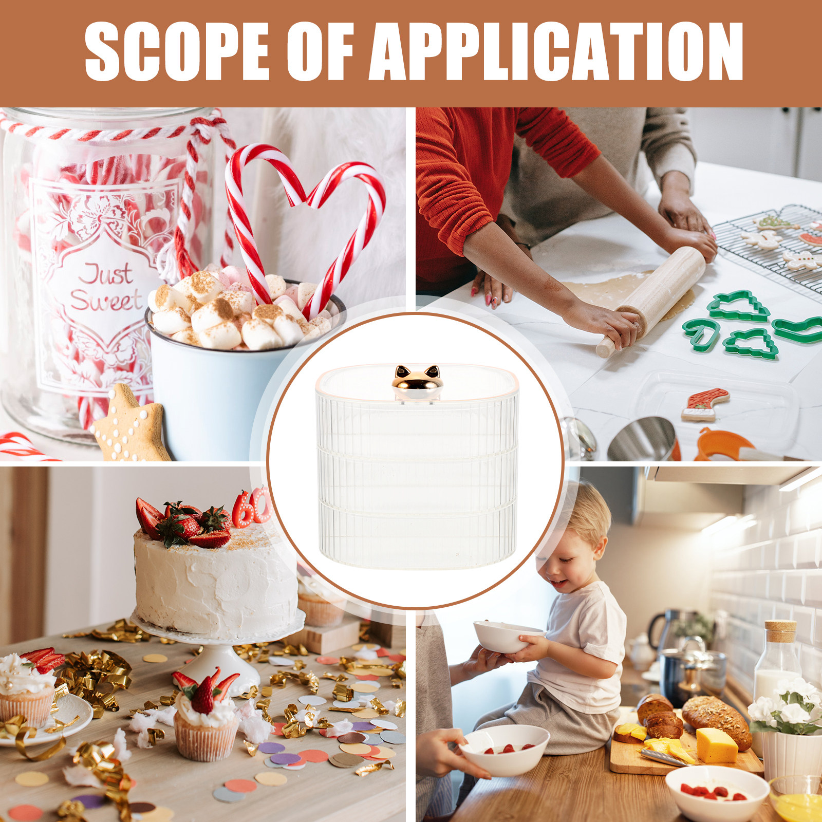 Transparent Food Storage Box H - Food Snacks Easy review and price