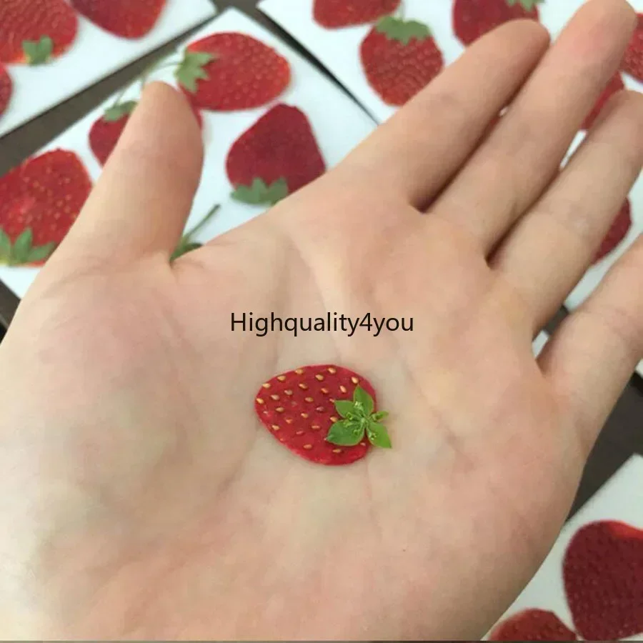 10pcs Dried Pressed Mini Fruit - Dried Fruit Mix review and price